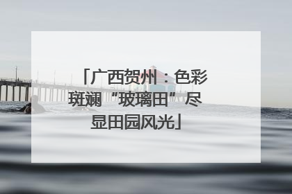 广西贺州：色彩斑斓“玻璃田”尽显田园风光