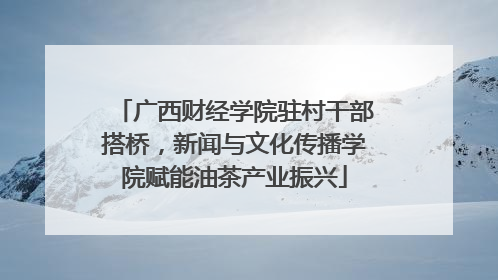 广西财经学院驻村干部搭桥，新闻与文化传播学院赋能油茶产业振兴