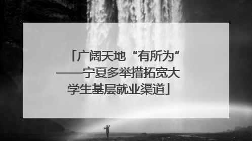 广阔天地“有所为”——宁夏多举措拓宽大学生基层就业渠道