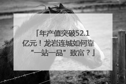 年产值突破52.1亿元！龙岩连城如何靠“一站一品”致富？