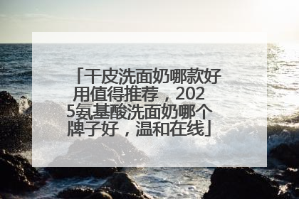 干皮洗面奶哪款好用值得推荐，2025氨基酸洗面奶哪个牌子好，温和在线