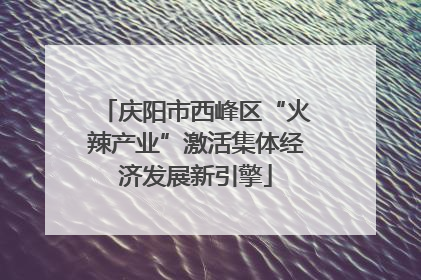 庆阳市西峰区“火辣产业”激活集体经济发展新引擎