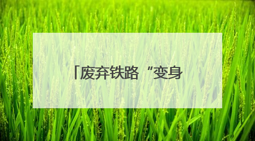 废弃铁路“变身”休闲绿廊 这些城市正悄然改变