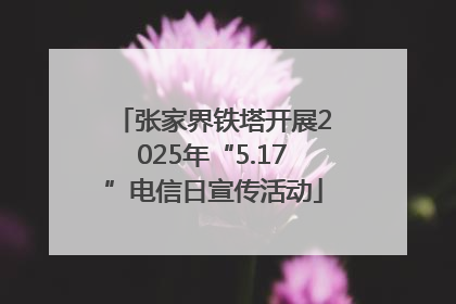 张家界铁塔开展2025年“5.17”电信日宣传活动
