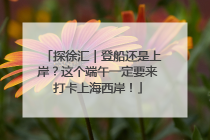 探徐汇｜登船还是上岸？这个端午一定要来打卡上海西岸！