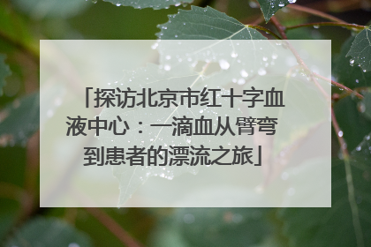 探访北京市红十字血液中心：一滴血从臂弯到患者的漂流之旅