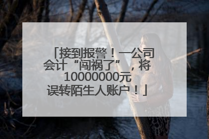 接到报警！一公司会计“闯祸了”，将10000000元误转陌生人账户！