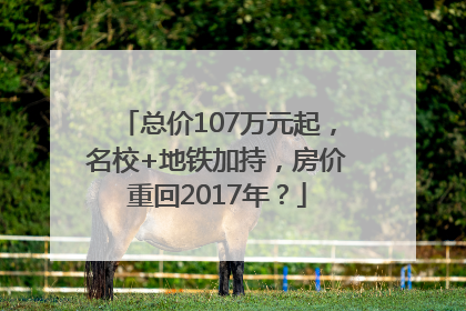 总价107万元起，名校+地铁加持，房价重回2017年？