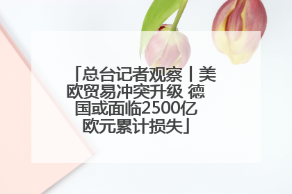 总台记者观察丨美欧贸易冲突升级 德国或面临2500亿欧元累计损失