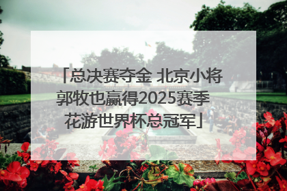 总决赛夺金 北京小将郭牧也赢得2025赛季花游世界杯总冠军