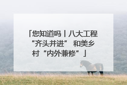 您知道吗丨八大工程“齐头并进” 和美乡村“内外兼修”