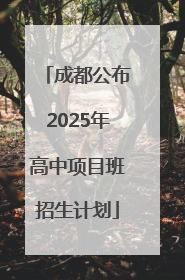 成都公布2025年高中项目班招生计划