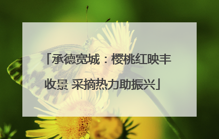 承德宽城：樱桃红映丰收景 采摘热力助振兴