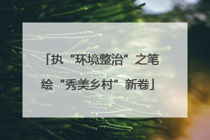 执“环境整治”之笔 绘“秀美乡村”新卷