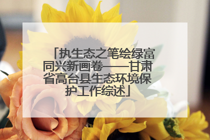 执生态之笔绘绿富同兴新画卷——甘肃省高台县生态环境保护工作综述
