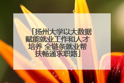 扬州大学以大数据赋能就业工作和人才培养 全链条就业帮扶畅通求职路