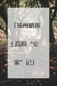 扬州鹅黄土高原“安家”记