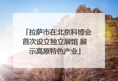 拉萨市在北京科博会首次设立独立展馆 展示高原特色产业
