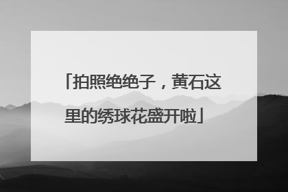 拍照绝绝子，黄石这里的绣球花盛开啦