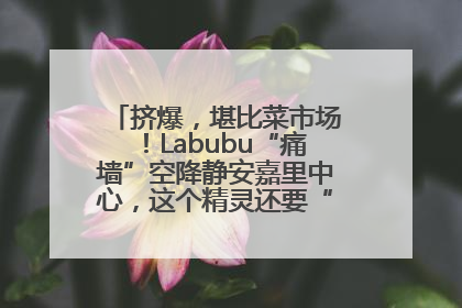 挤爆，堪比菜市场！Labubu“痛墙”空降静安嘉里中心，这个精灵还要“突袭”便利店？