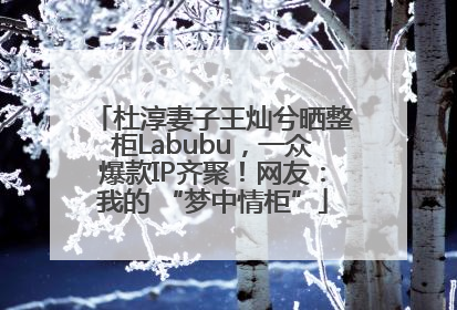 杜淳妻子王灿兮晒整柜Labubu，一众爆款IP齐聚！网友：我的 “梦中情柜”