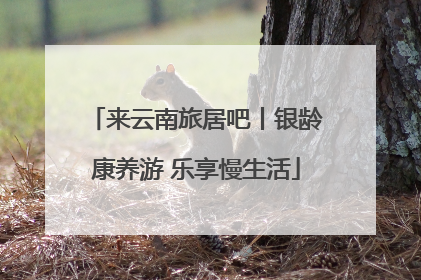 来云南旅居吧丨银龄康养游 乐享慢生活