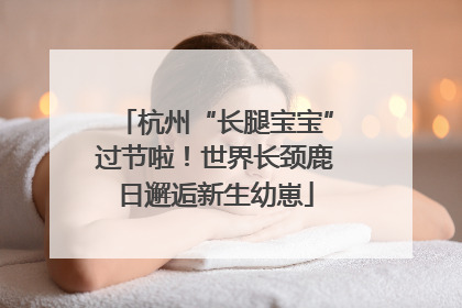 杭州“长腿宝宝”过节啦！世界长颈鹿日邂逅新生幼崽