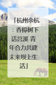 杭州余杭：香樟树下话苕溪 青年合力共建未来坝上生活