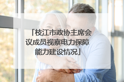枝江市政协主席会议成员视察电力保障能力建设情况