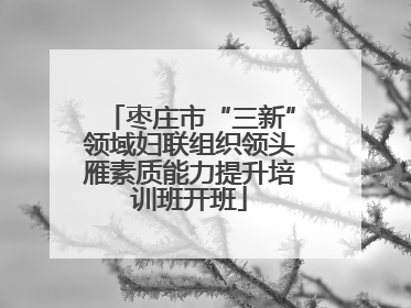枣庄市“三新”领域妇联组织领头雁素质能力提升培训班开班