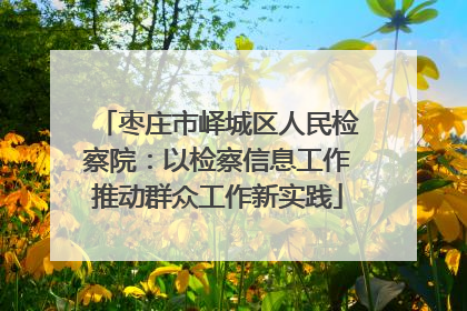 枣庄市峄城区人民检察院：以检察信息工作推动群众工作新实践