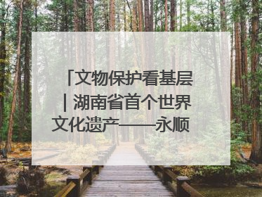 文物保护看基层｜湖南省首个世界文化遗产——永顺老司城遗址