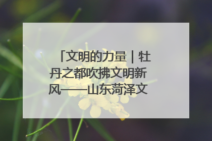 文明的力量｜牡丹之都吹拂文明新风——山东菏泽文明创建一线见闻
