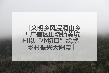 文明乡风浸润山乡！广信区田墩镇黄坑村以“小切口”绘就乡村振兴大图景