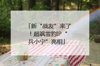 新“战友”来了！超飒雪豹IP“兵小宁”亮相
