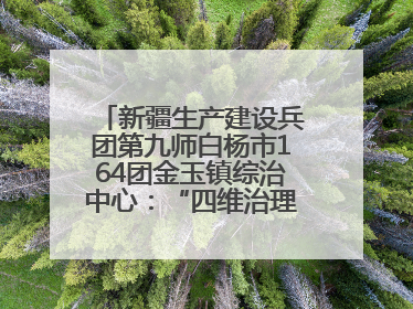 新疆生产建设兵团第九师白杨市164团金玉镇综治中心：“四维治理”淬炼边疆“枫桥样本”