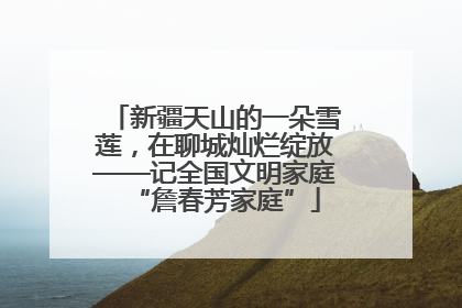 新疆天山的一朵雪莲，在聊城灿烂绽放——记全国文明家庭“詹春芳家庭”