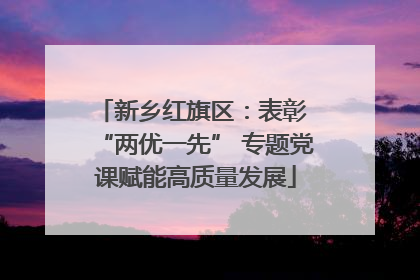 新乡红旗区：表彰 “两优一先” 专题党课赋能高质量发展