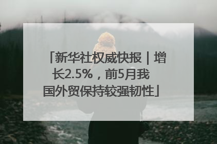 新华社权威快报｜增长2.5%，前5月我国外贸保持较强韧性