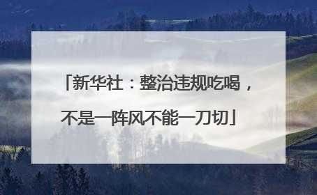 新华社：整治违规吃喝，不是一阵风不能一刀切