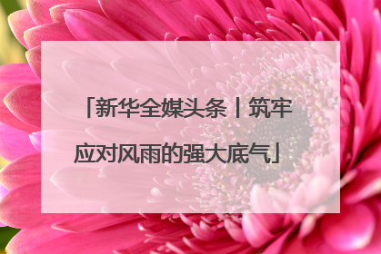 新华全媒头条丨筑牢应对风雨的强大底气