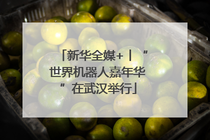 新华全媒+丨“世界机器人嘉年华”在武汉举行