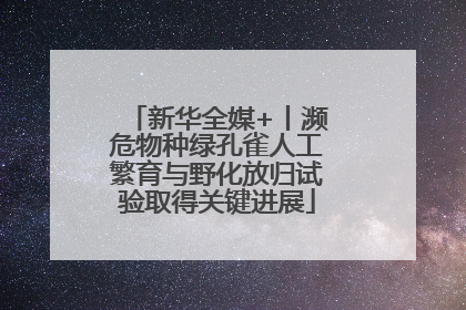 新华全媒+丨濒危物种绿孔雀人工繁育与野化放归试验取得关键进展