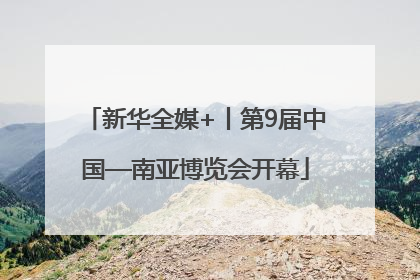 新华全媒+丨第9届中国—南亚博览会开幕