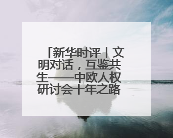 新华时评丨文明对话，互鉴共生——中欧人权研讨会十年之路的深刻启示