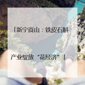 新宁崀山：铁皮石斛产业绽放“花经济”