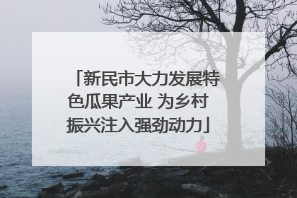 新民市大力发展特色瓜果产业 为乡村振兴注入强劲动力