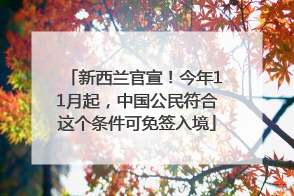 新西兰官宣！今年11月起，中国公民符合这个条件可免签入境