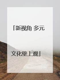 新视角 多元文化壁上观