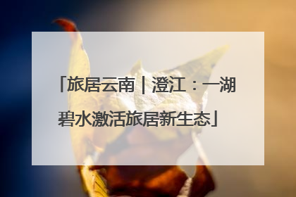 旅居云南｜澄江：一湖碧水激活旅居新生态